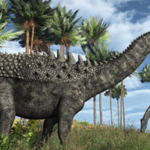 Dinosaurs were not in decline before asteroid hit