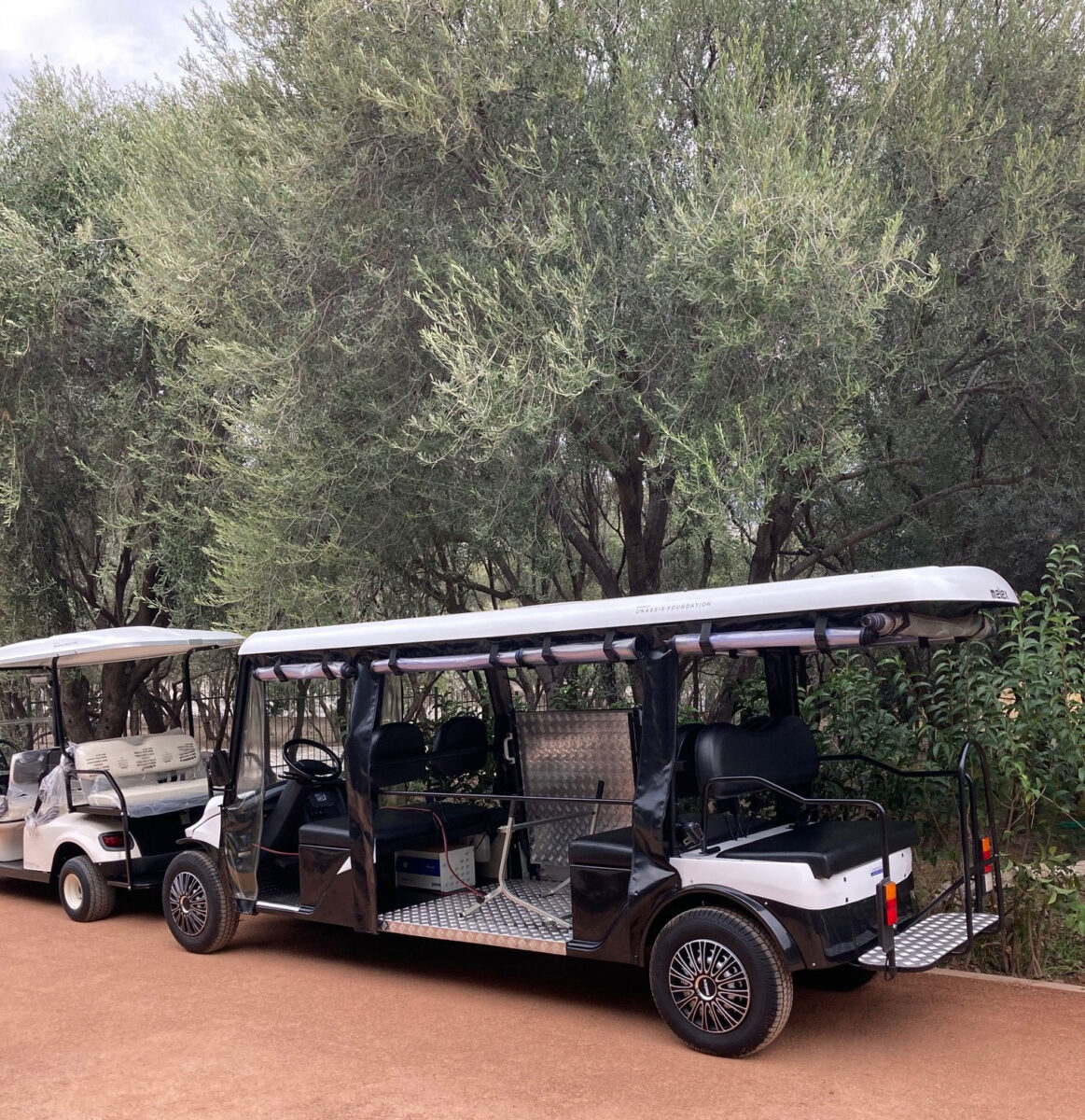 The Golf Cart type vehicles (photo: MOCAS)