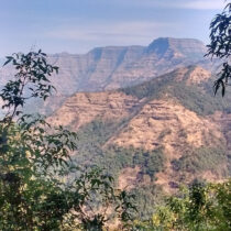 Mass extinctions of land-dwelling animals occur in 27-million-year cycle