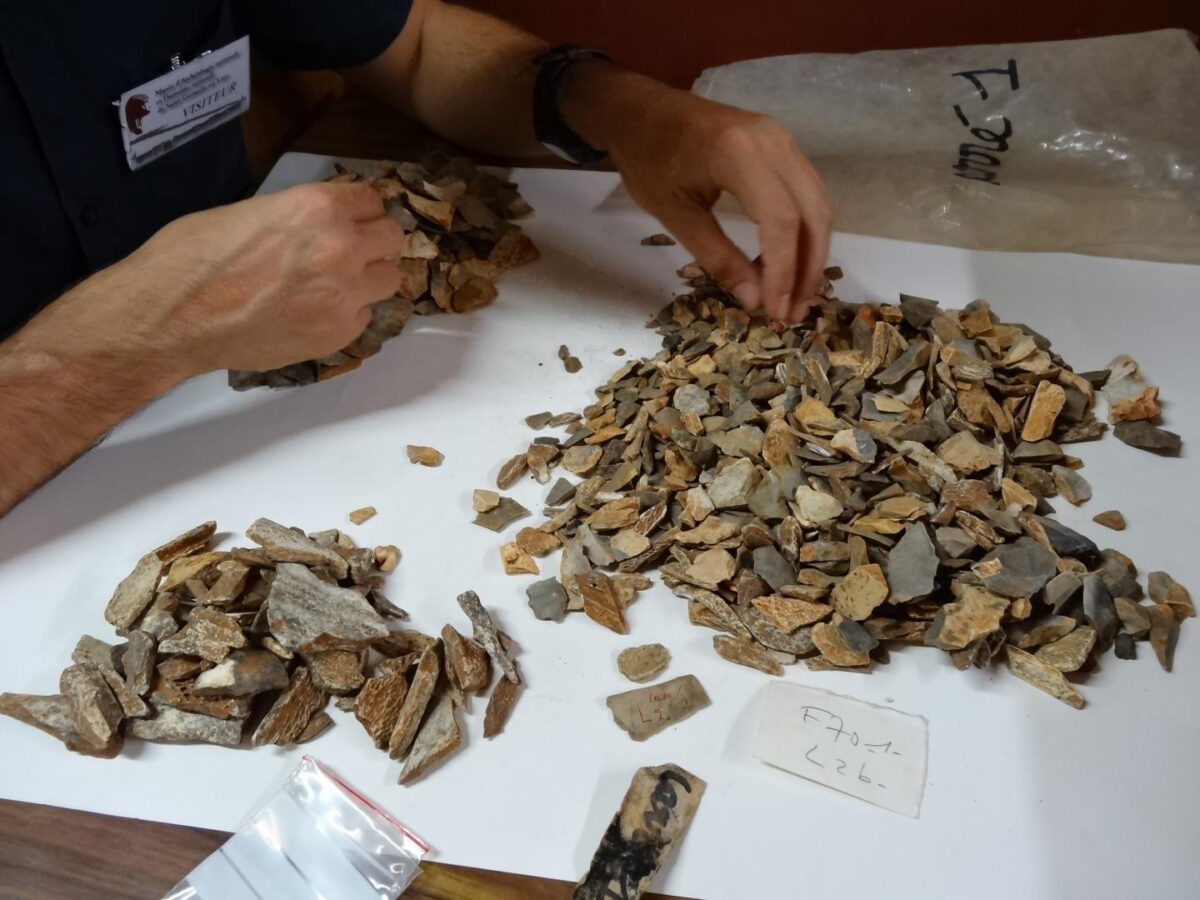 Examining material from the 1970s excavations at the Musée d'archéologie nationale, France. Thousands of bone remains were sorted and 47 new fossil remains belonging to the Neandertal child 'La Ferrassie 8' were identified. Credit : © Antoine Balzeau - CNRS/MNHN