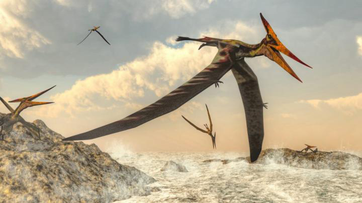 Pterosaur - Wikipedia