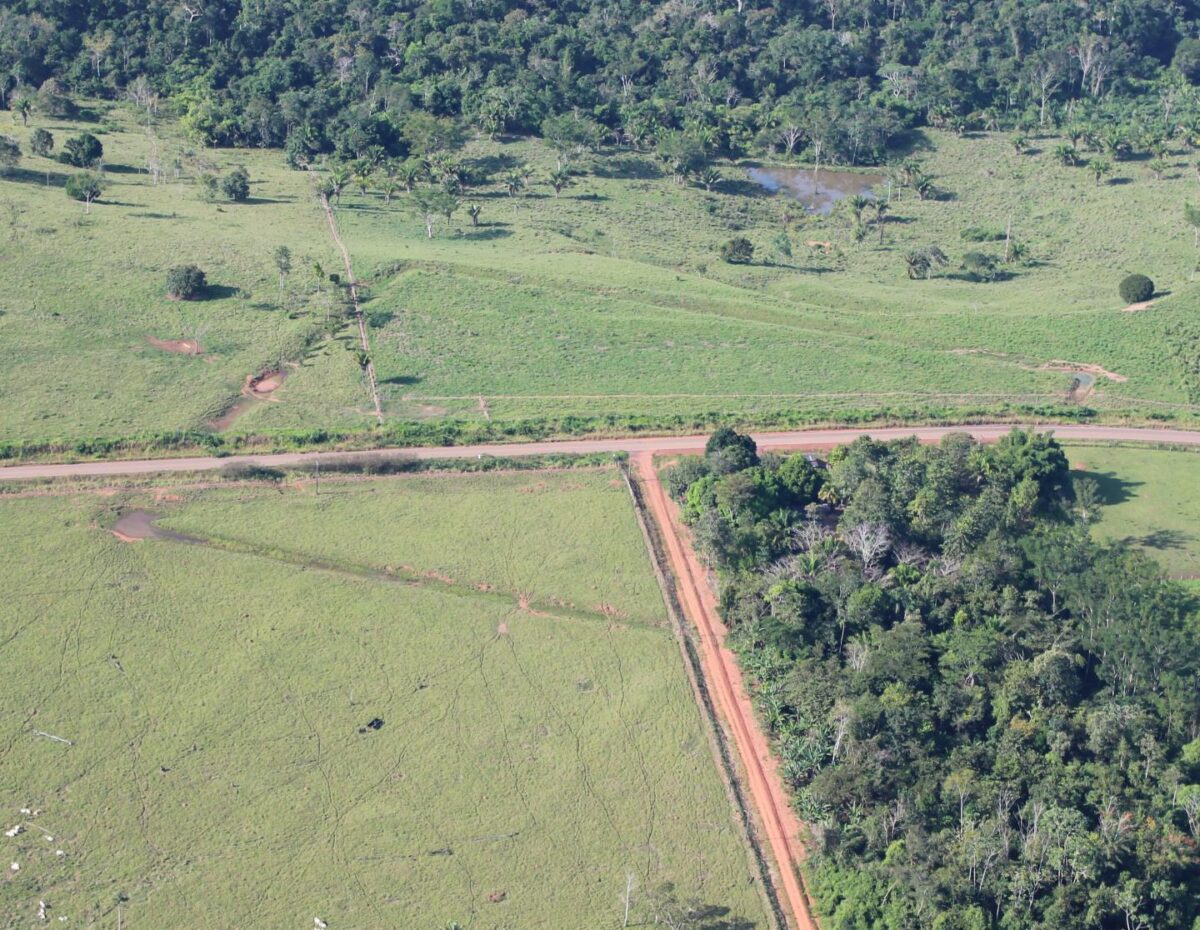 Aerial view of a research site called Severino Calazans. Credit: Martti Pärssinen