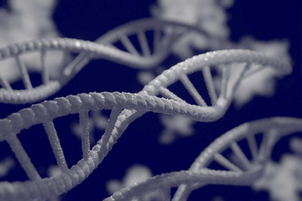 the Neandertal DNA content is quite different between Europeans and Asians and our knowledge limited about non-European Neandertal DNA.