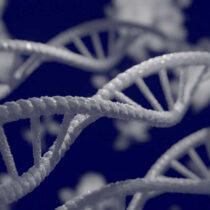 The impact of Neandertal DNA on human health
