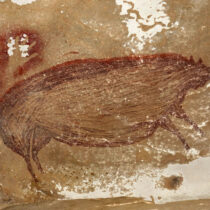 The most ancient cave painting of an animal found in Indonesia