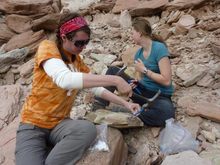 Michelle Stocker and Rachel Wallace, a former graduate student at the University of Texas at Austin, are seen excavating the caiman fossil from sandstone in January of 2011. Photo courtesy of Chris Kirk. Credit: Virginia Tech