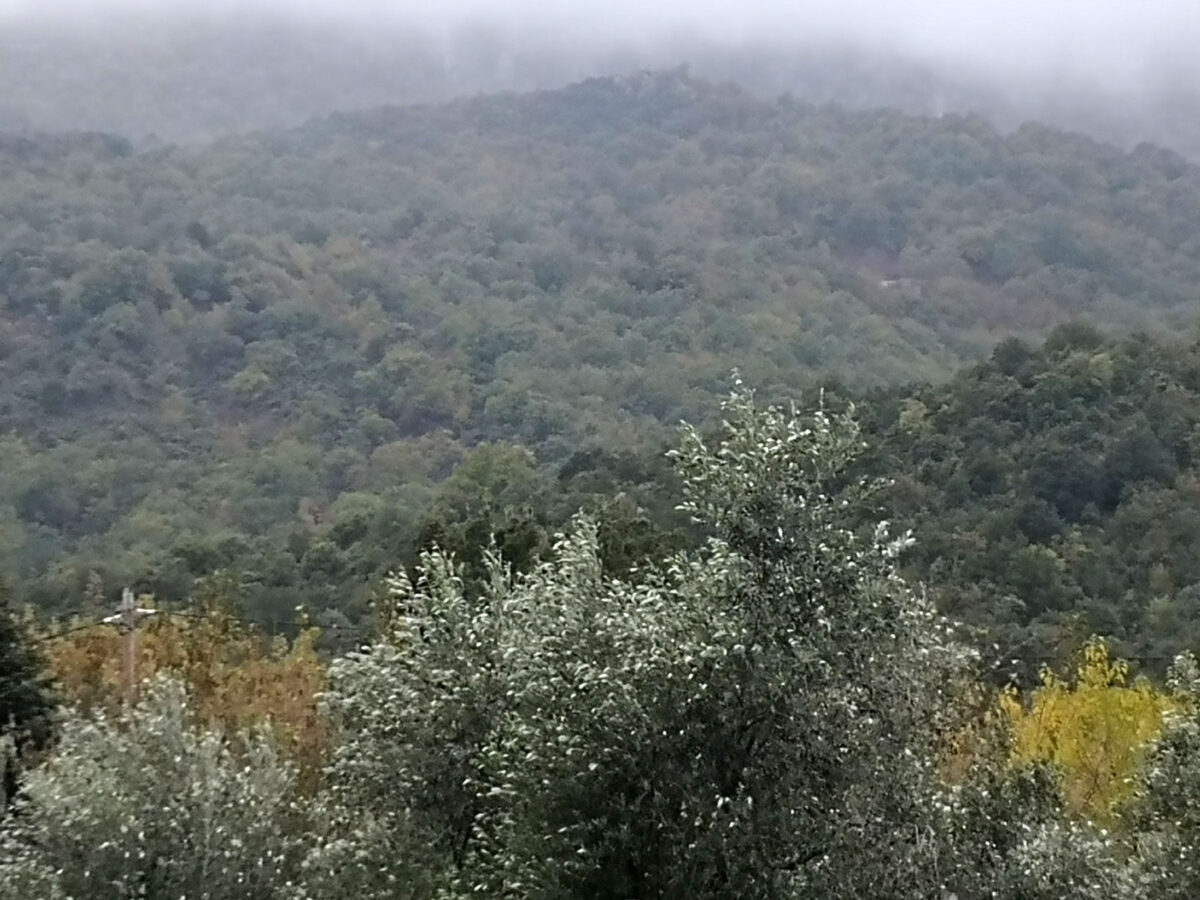 Koziakas mountain (photo: Apostolis Zois/ AMNA)
