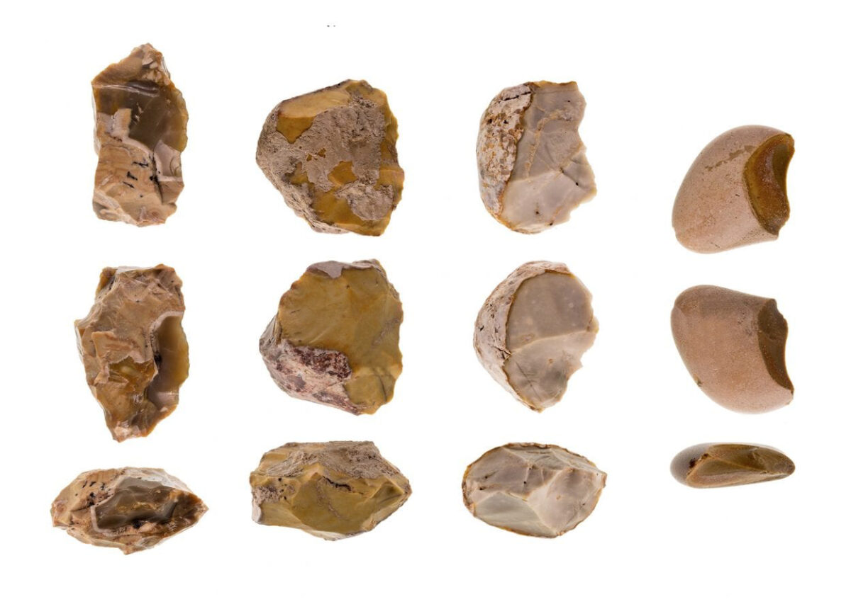 Applying advanced research methods, researchers examined use-wear traces on 53 chopping tools, as well as organic residues found on some of the tools. Image Credit : Ran Barkai