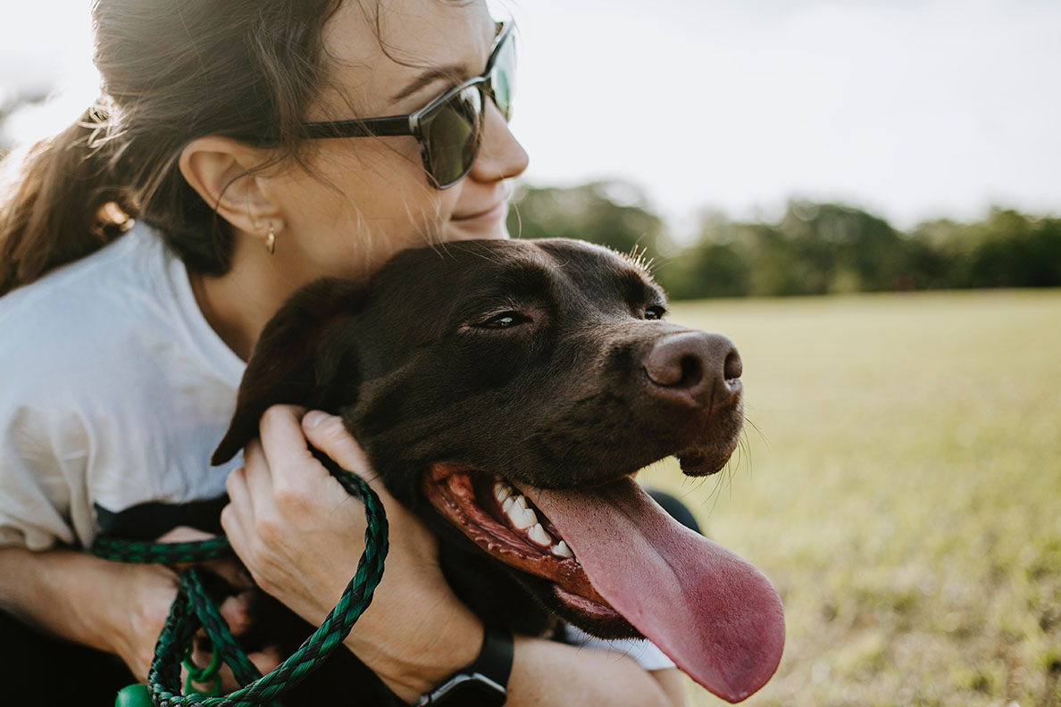 Dogs’ relationships with women might have had a greater impact on the dog-human bond than relationships with men, Photo by Wade Austin Ellis