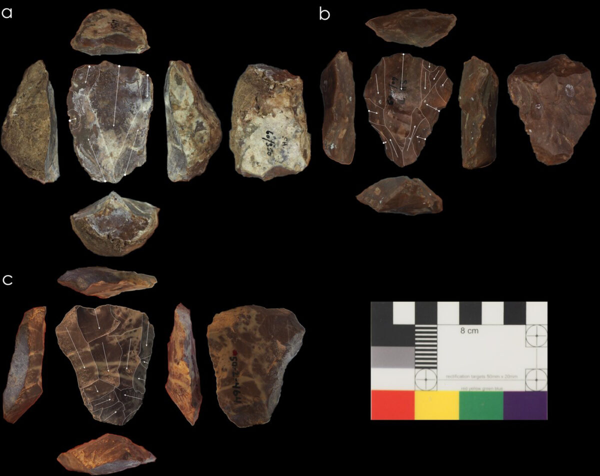 Photos of Nubian Levallois cores associated with Neanderthal fossils © UCL, Institute of Archaeology & courtesy of the Penn Museum, University of Pennsylvania.
© Blinkhorn, et al., 2021 / CC BY 4.0