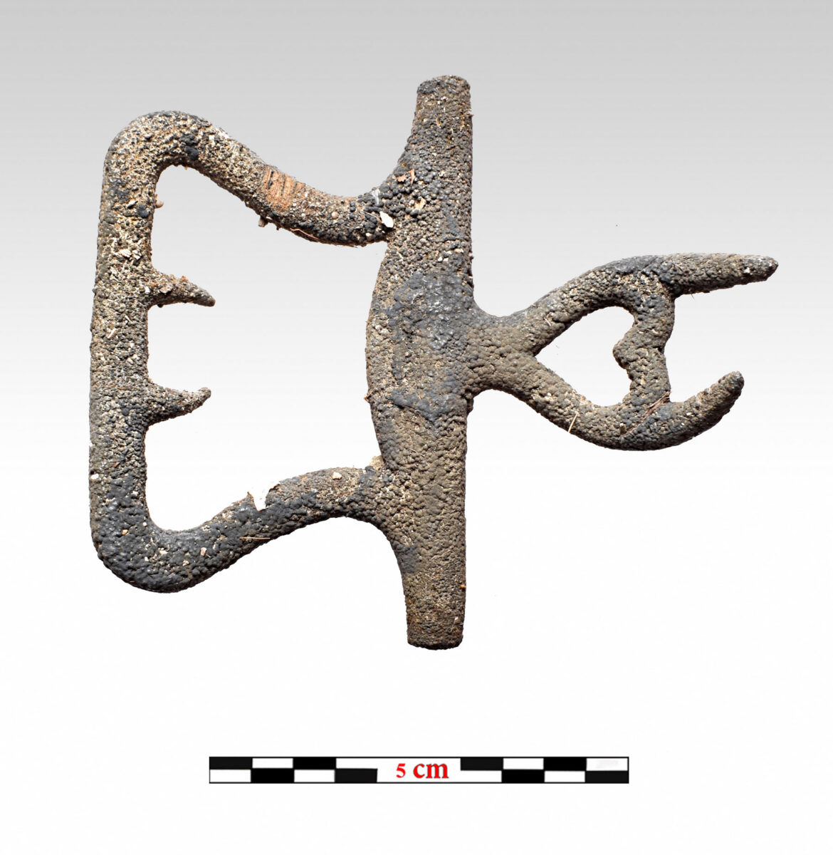 Metal part of a fibula (photo: P. Vezyrtzis) 