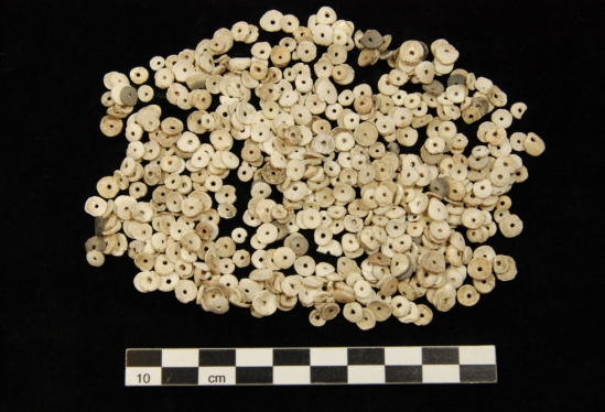 Chumash Olivella biplicata rough disc beads made in the historic period, after European contact. Photo Credit: SANTA BARBARA MUSEUM OF NATURAL HISTORY