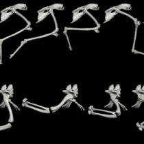 To figure out how dinosaurs walked, start with how they didn’t