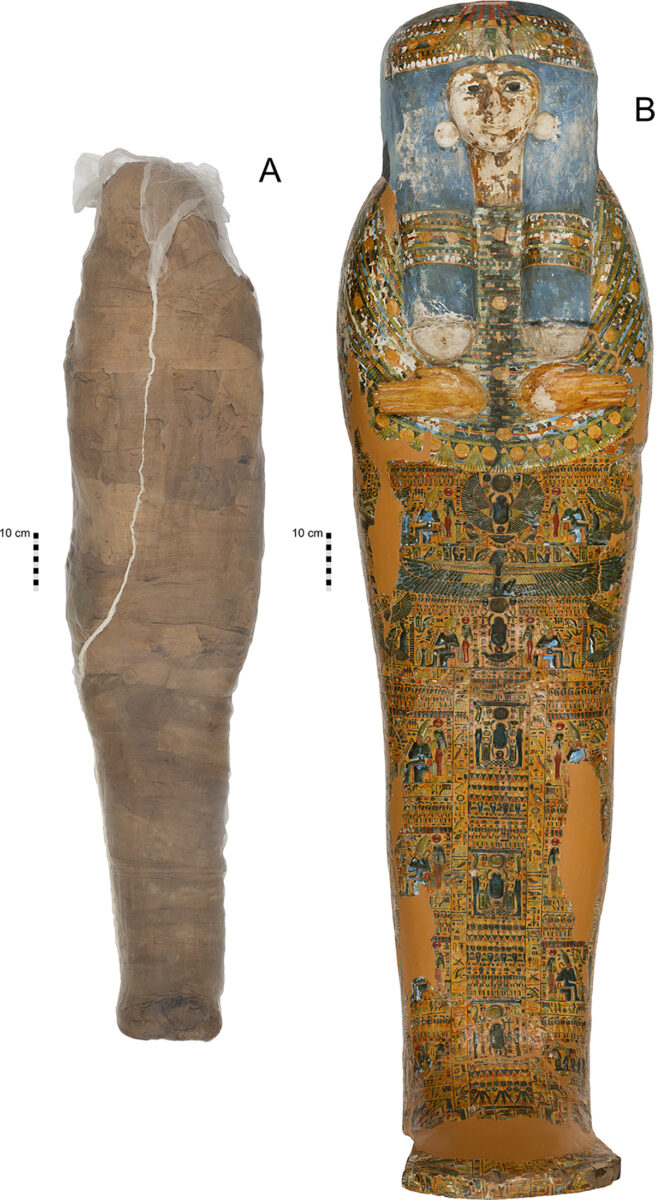 Mummified individual and coffin in the Nicholson Collection of the Chau Chak Wing Museum, University of Sydney.
A. Mummified individual, encased in a modern sleeve for conservation, NMR.27.3. B. Coffin lid, NMR.27.1. (Published under a CC BY license, with permission from the Chau Chak Wing Museum, original copyright 2019). doi:10.1371/journal.pone.0245247.g001