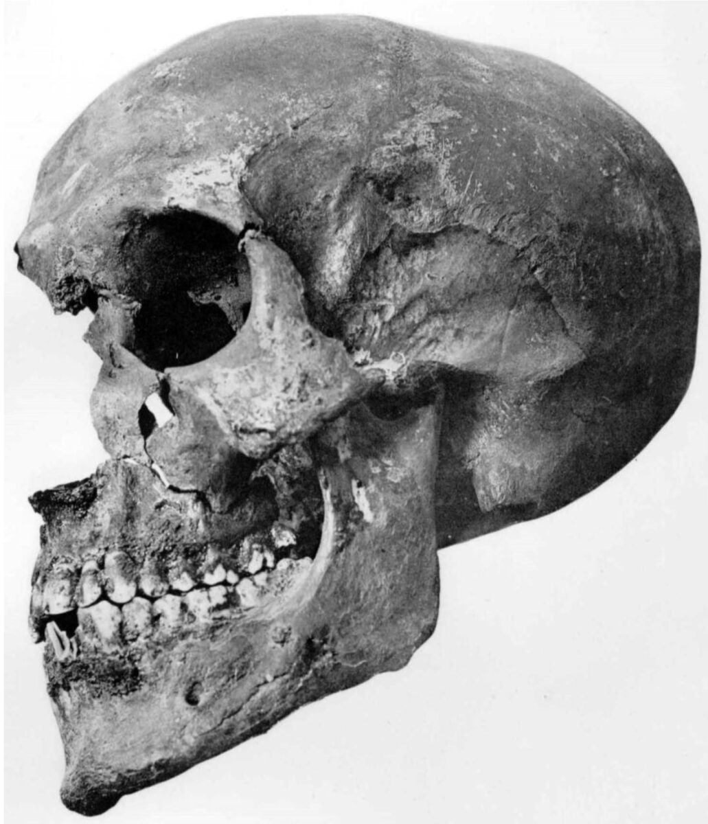 The skull of KV 55, photograph by G. E. Smith 1912.