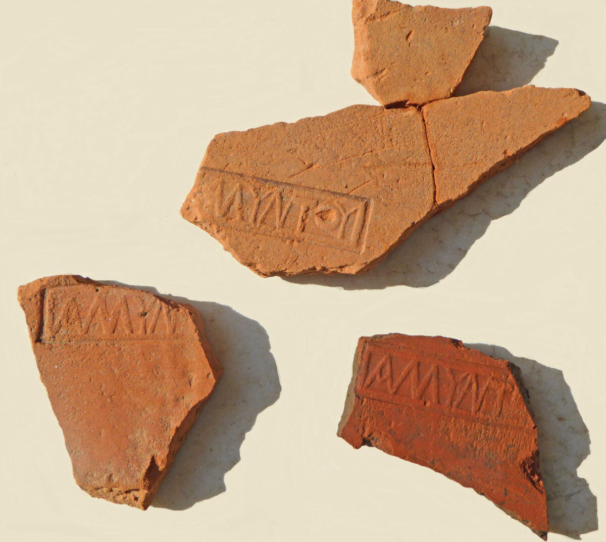 Pieces of tiles (