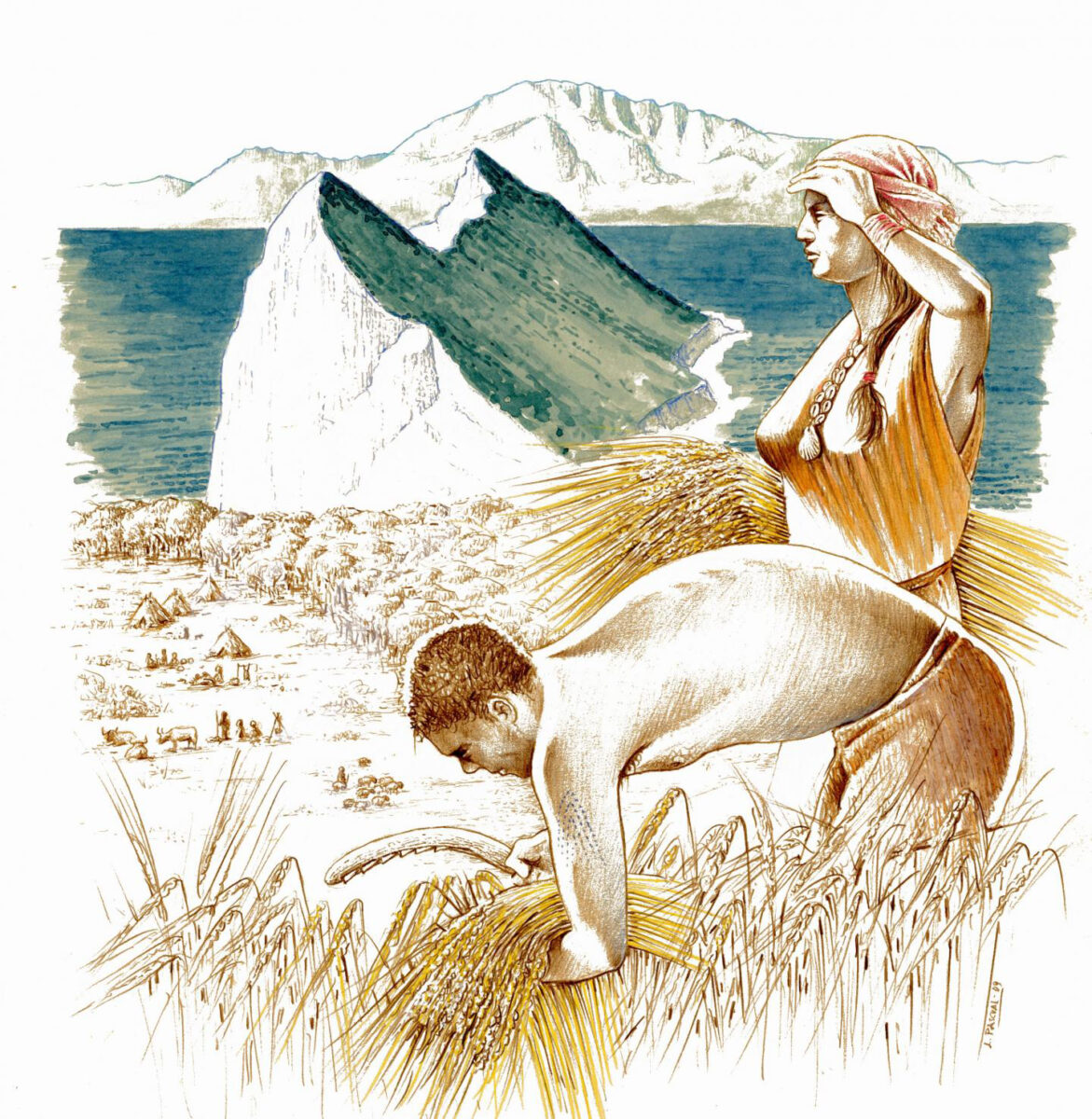 Neolithic agriculturalists. Credit : Illustration by L.P. Repiso