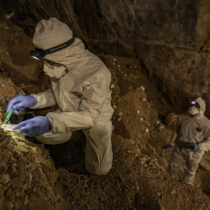 Stone Age black bears didn’t just defecate in the woods…