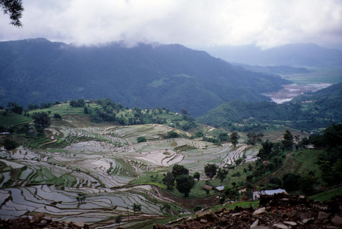 Terraced rice landscapes near Pokhara, Nepal. Credit : Erle Ellis