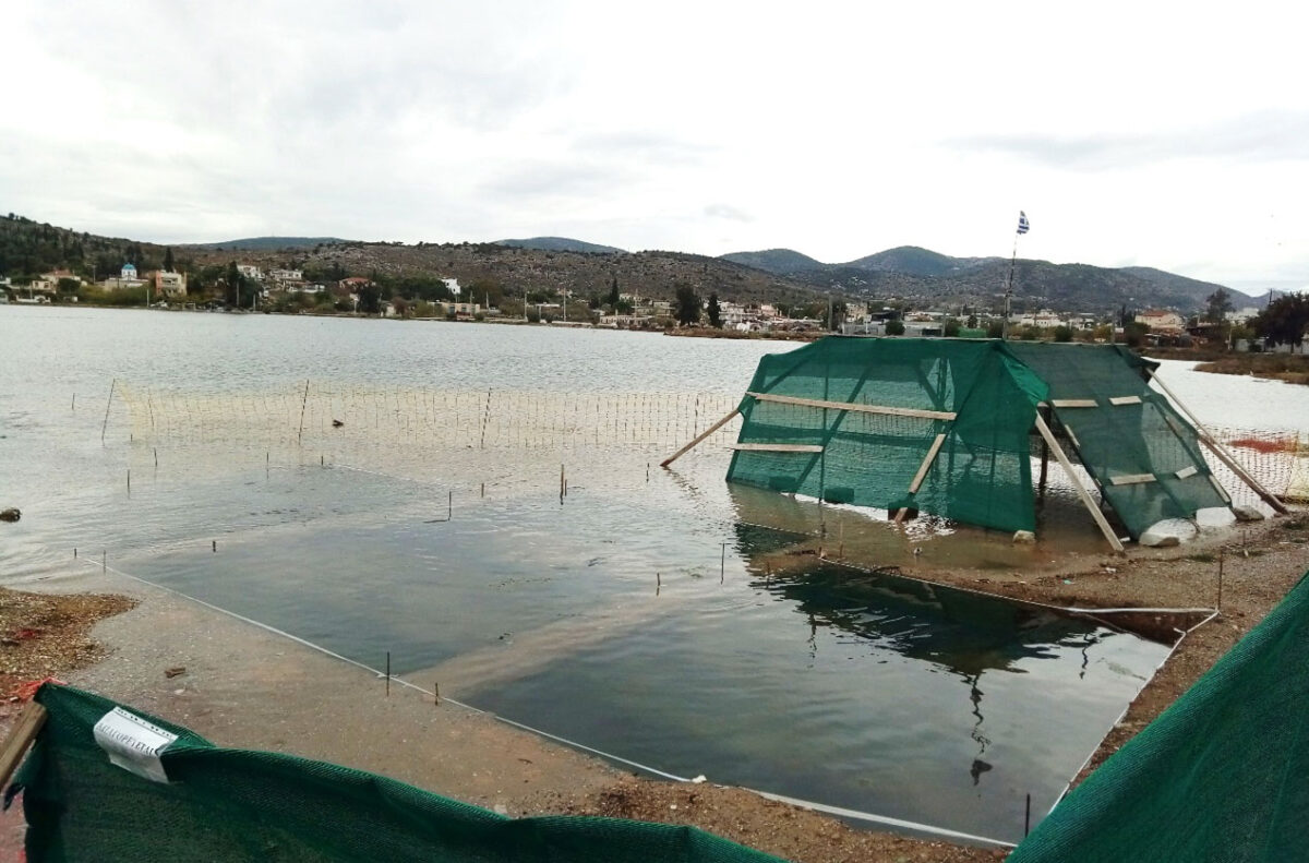 View of excavation area while being flooded by the sea (photo: MOCAS).