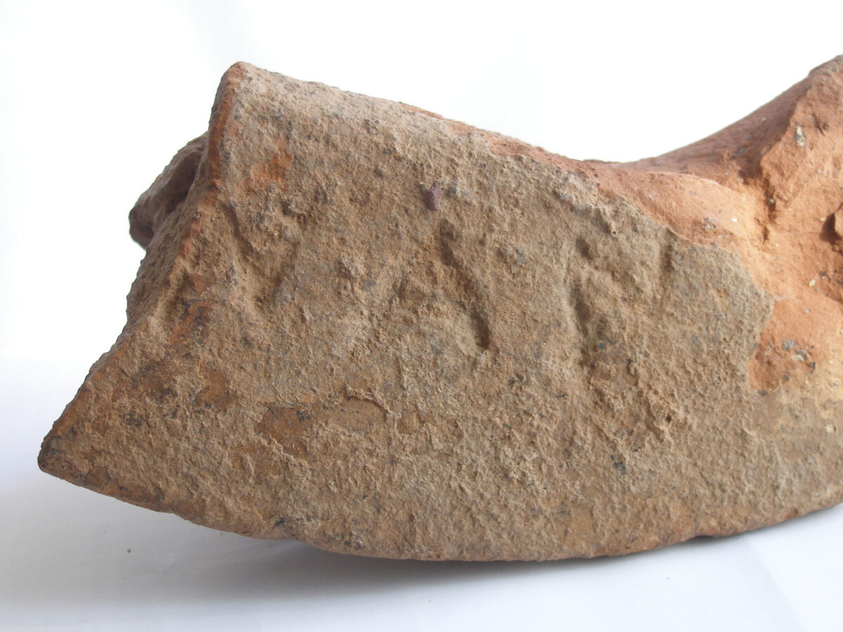 Fragment of jar rim with the inscription NAN (photo: MOCAS). 