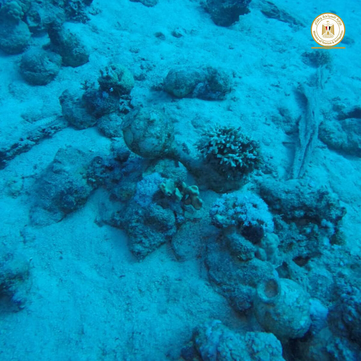 View of the underwater site where the shipwreck was discovered. Credit : Ministry of Antiquities