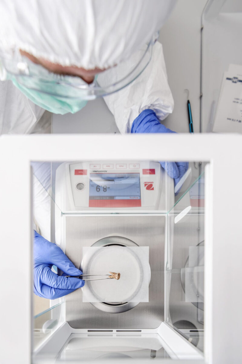 Small pieces of dental calculus can reveal huge insights regarding past interactions between humans and their resident microbes. Credit : Werner Siemens Foundation, Felix Wey