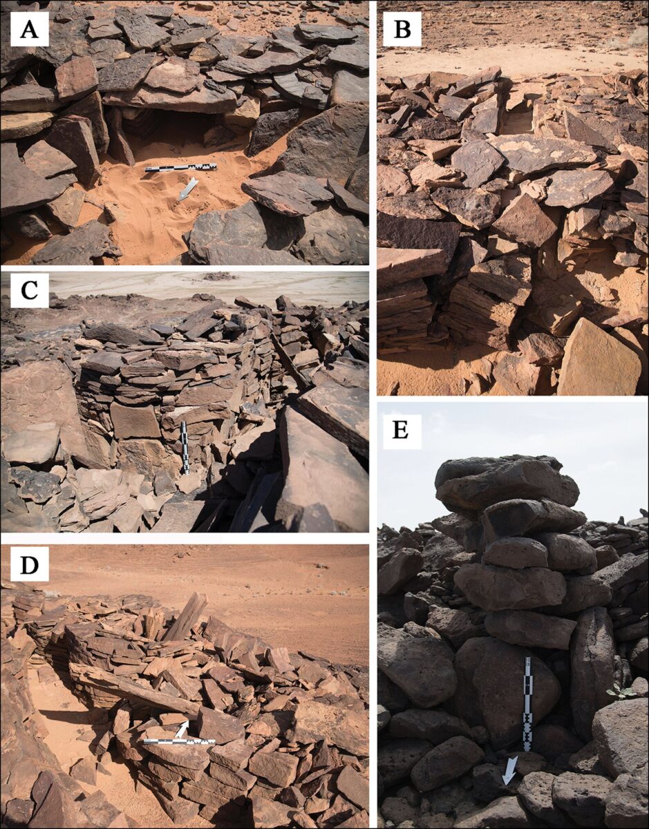 Features of mustatil: A) internal niche located in the head of a mustatil; B) a blocked
entranceway in the base of a mustatil; C–D) associated features of a mustatil: cells
and orthostats; E) stone pillar identified on the Harrat Khaybar lava field. Credit: Hugh Thomas et al. 2021