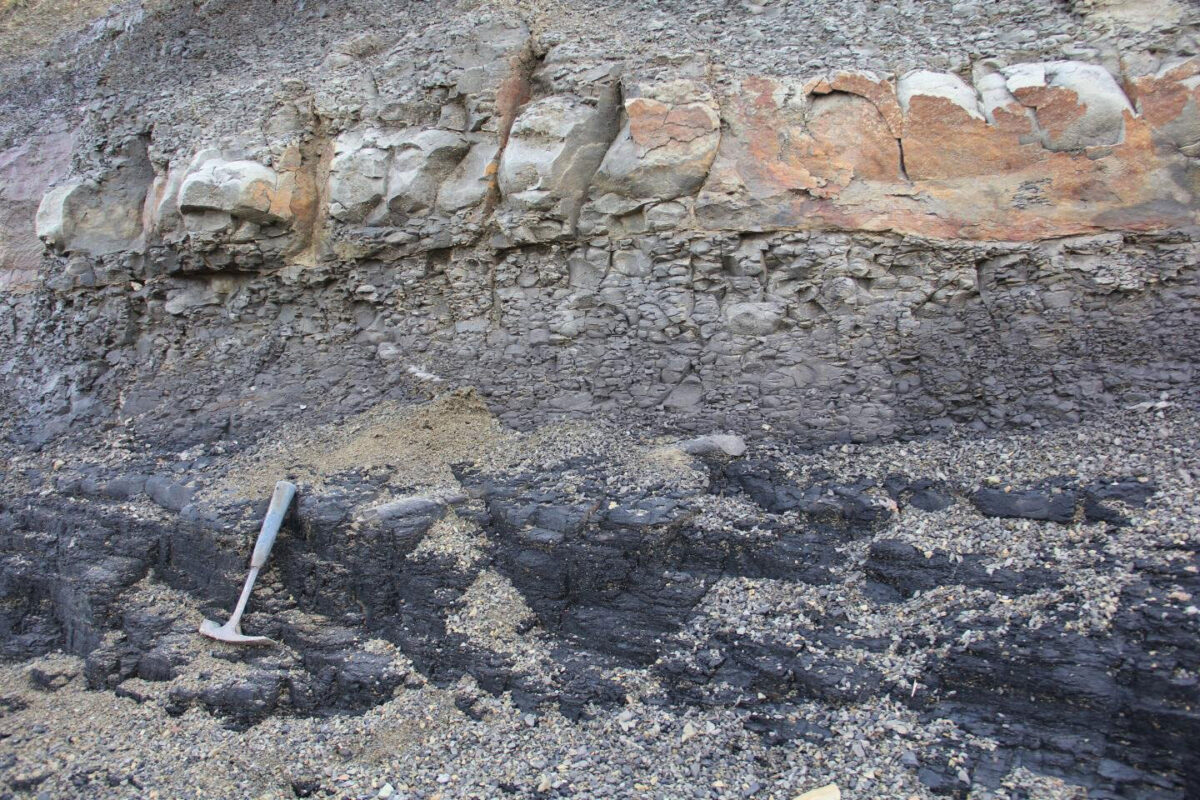 The end of Permian extinction and disappearance of Glossopteris flora occurs at the top
of the coal (black layer). Outcrop photos are from Frazer Beach,
New South Wales, Australia. Credit: T.D. Frank
