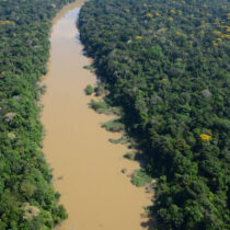 Indigenous peoples were stewards of the Western Amazon