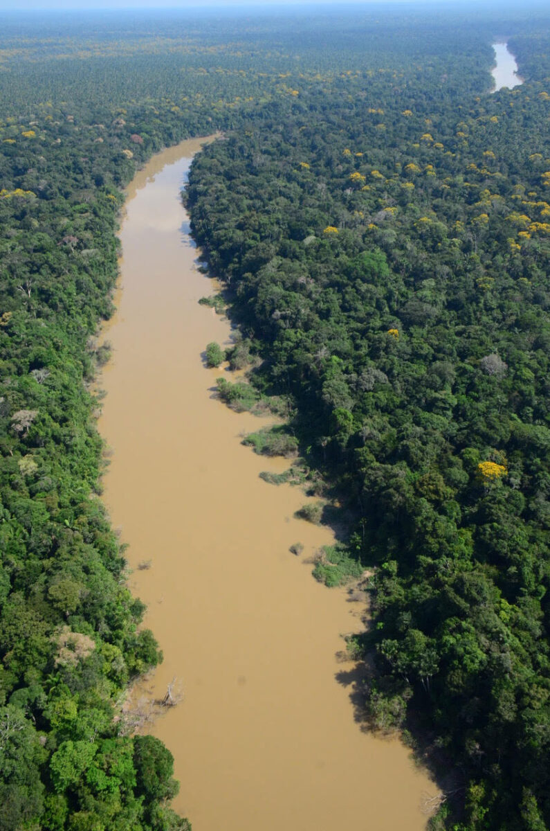 An aerial photo of the Algodón River flowing through a forest of the Amazon Basin in the remote northeastern corner of Peru. Credit : Álvaro del Campo