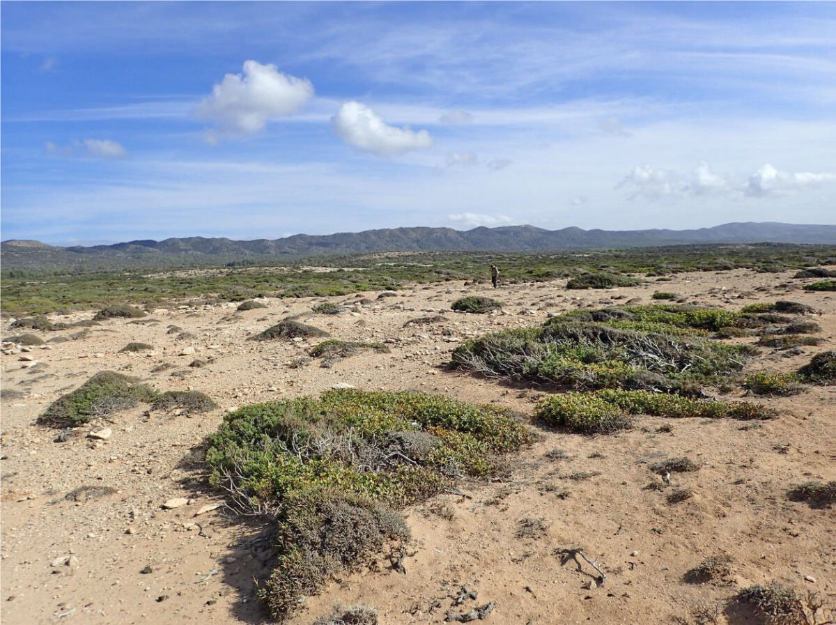 Reconnaissance surveys for the location of Pleistocene archaeological deposits in the context of project PLEICY.