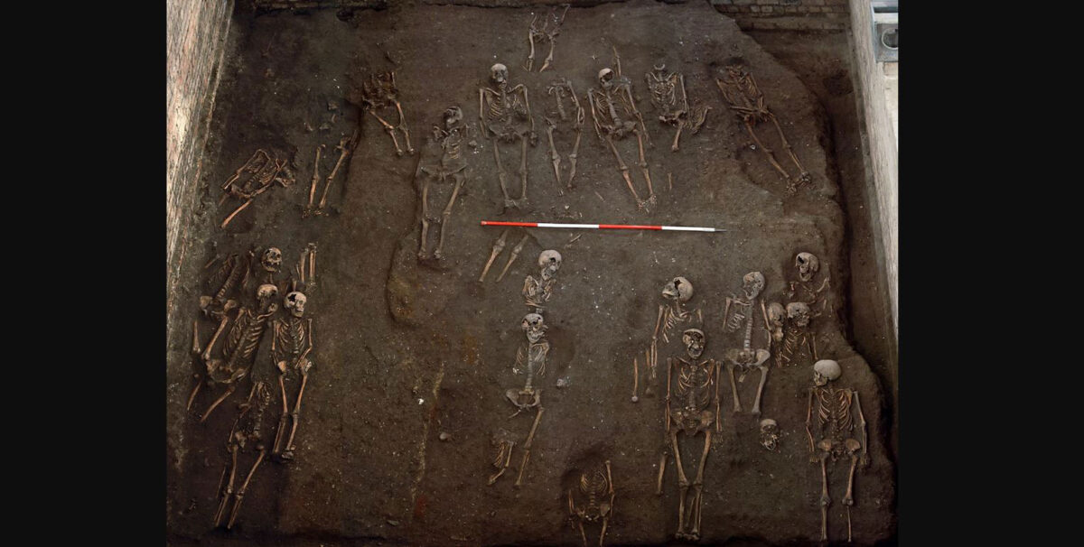 The remains of numerous individuals unearthed on the former site of the Hospital of St. John the Evangelist in Cambridge, taken during the 2010 excavation. Credit : Cambridge Archaeological Unit
