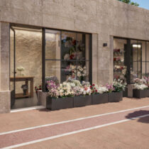 Revival of historic Syntagma flower shops