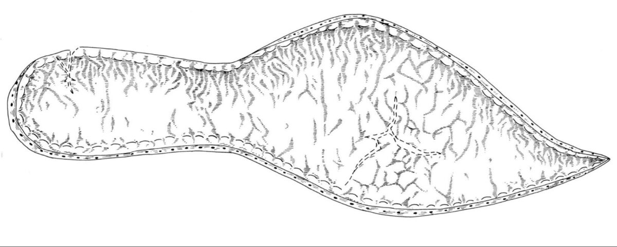 An illustration of the sole of an adult shoe from the late 14th century, excavated in Cambridge. Credit: Cambridge Archaeological Unit