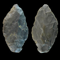 Stone tool tells the story of Neanderthal hunting