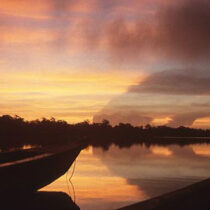 Faecal records show Maya population affected by climate change
