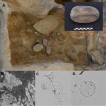 New aspects related to plant processing in a Neolithic settlement in Turkey
