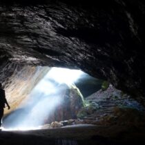 Neanderthal artists? They decorated bones over 50,000 years ago