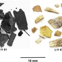 Widespread cultural diffusion of knowledge started 400,000 years ago