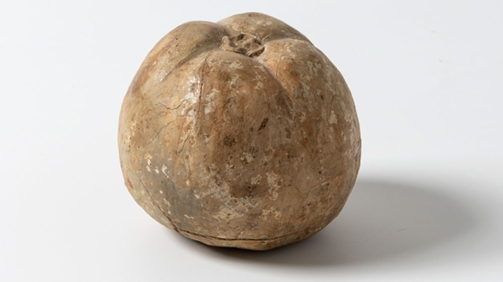 Terracotta model of an apple. From the deposit of a sanctuary in Patras. 5th – 3rd c. BC. Archaeological Museum of Patras 4644.
© Hellenic Ministry of Culture and Sports/Ephorate of Antiquities of Achaia/Hellenic Organization of Cultural Resources Development. Photograph: Eirini Miari.
