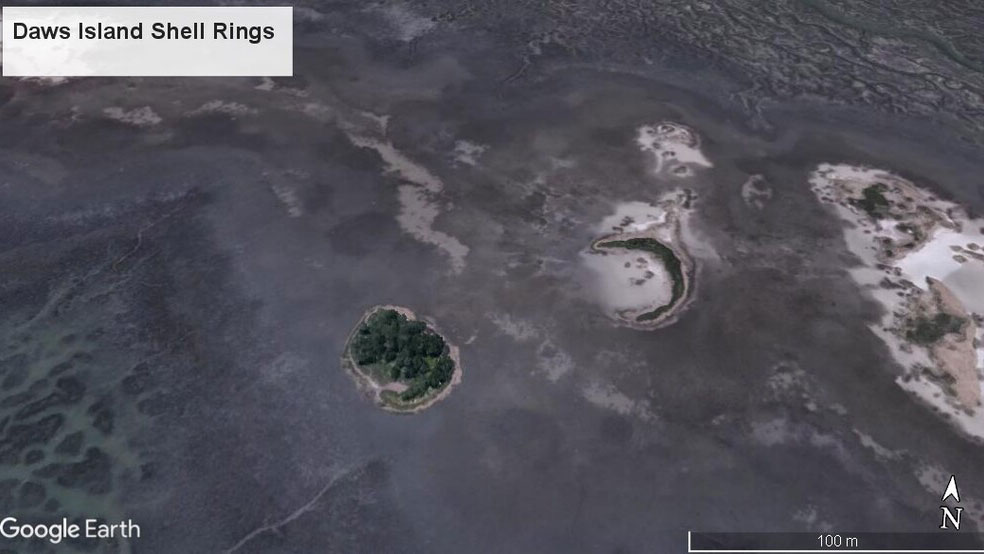 Shell rings located on Daws Island, South Carolina. Both rings are approximately 150 to 200 feet in diameter and are comprised largely of oyster, mussel and clam shells. Image: Dylan Davis, Penn State