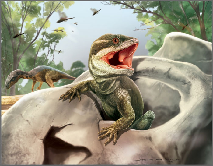 Life reconstruction of Taytalura in its natural habitat with the extinct conifer Rhexoxylon in Ischigualasto (Argentina) during the Late Triassic, hiding from the primitive dinosaur Eodromaeus (in the background) inside the skull of a mammalian ancestor. Credit: Original artwork created by scientific illustrator Jorge Blanco.