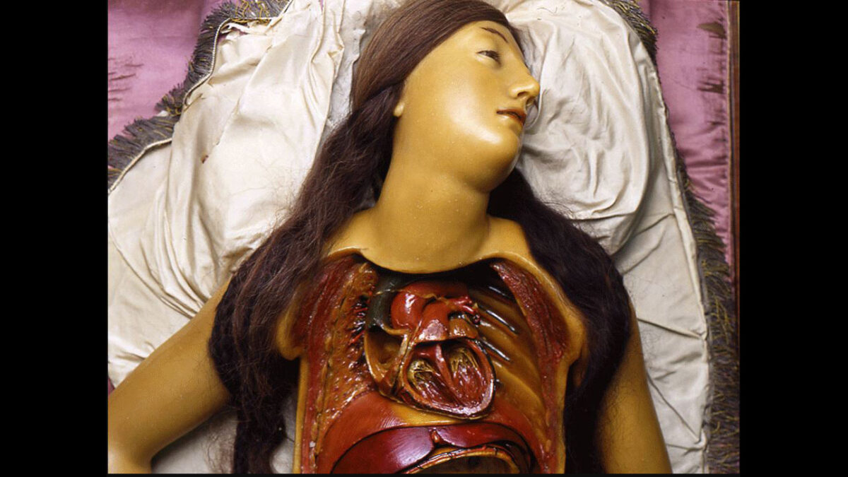 The aim of the conference is to examine how the body processes, affectively as well as cognitively, horrifying experiences and how it can turn itself into a source of horror, e.g. in contexts of sickness and death. 