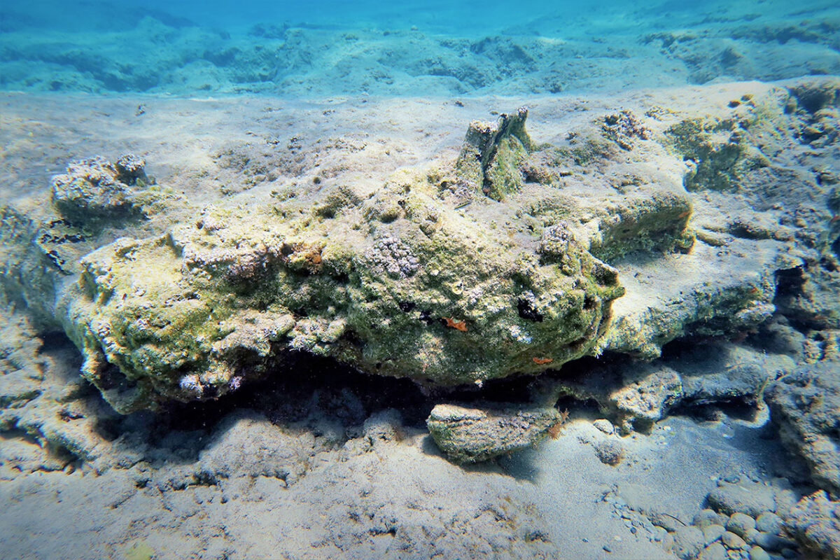 Part of a Minoan jar embedded in the rocky seabed of Kouremenos Bay (photo: MOCAS)