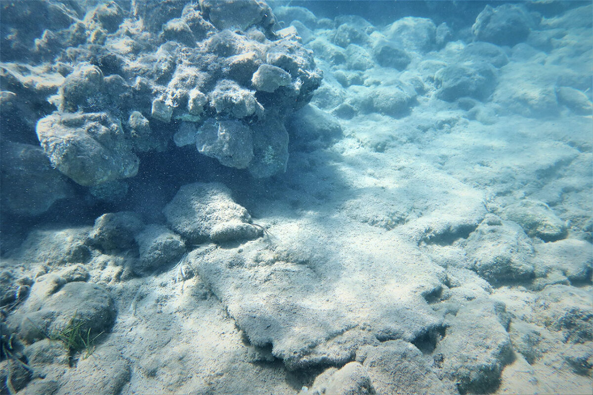 Section of paved floor of a Roman building from the Chiona Bay (photo: MOCAS)