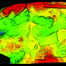 Oldest example of immobile art found in Tibet