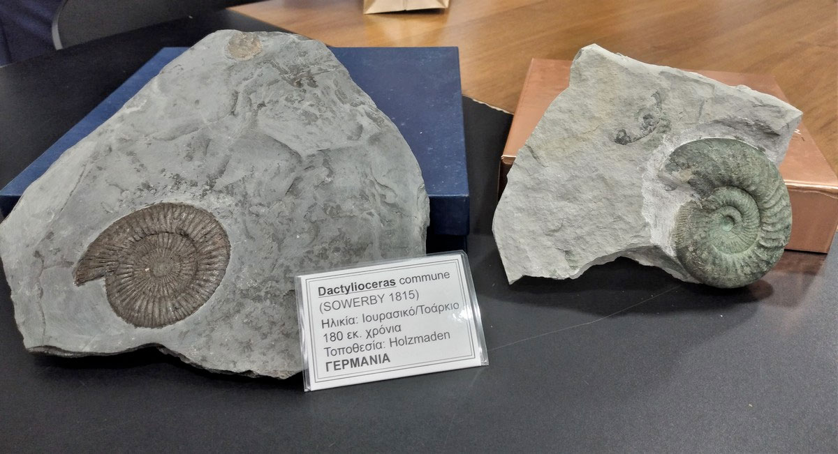 google acquire fossil