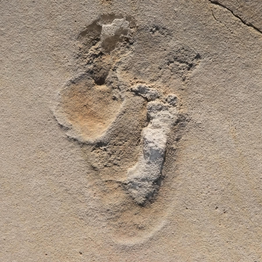 Tracks in the sand: One of over 50 footprints of predecessors of early humans identified in 2017 near Trachilos, Crete. Dating techniques have now shown them to be more than six million years old. Copyright: Per Ahlberg, Uppsala.