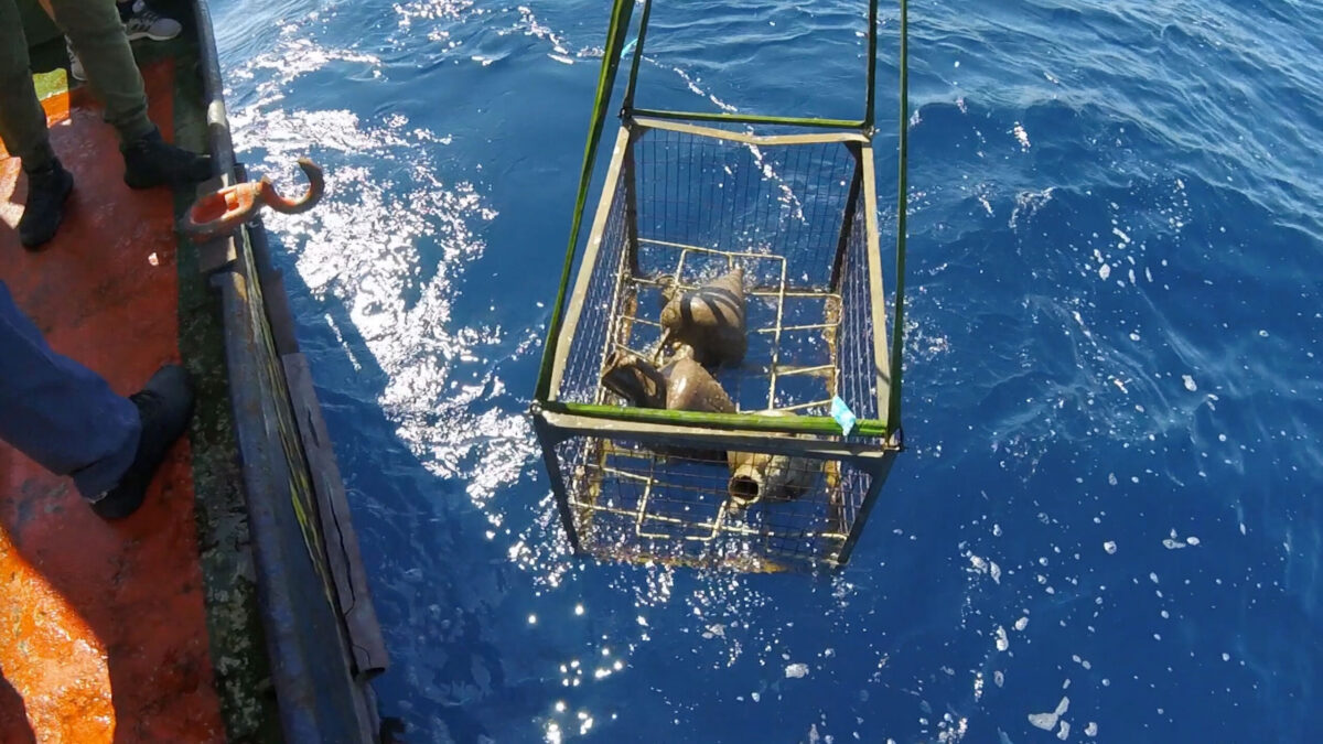 Recovery of vessels from the shipwreck (photo: MOCAS)  
